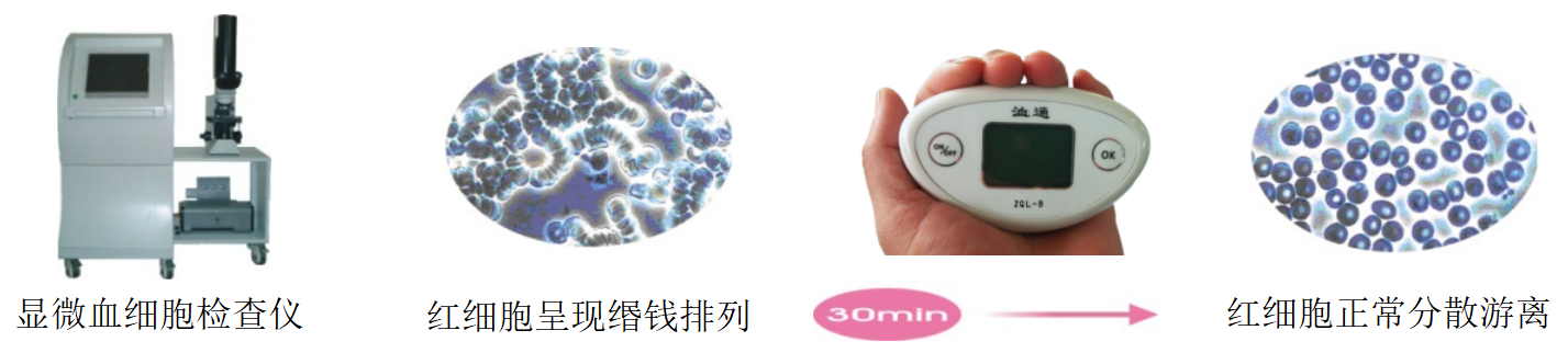 1758358620153088.png (16)图片.png